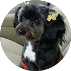 Profile photo of Susan stewart