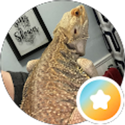 Profile photo of English Teatime
