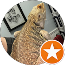 Profile photo of English Teatime