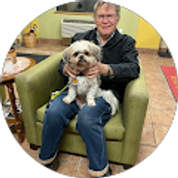 Profile photo of Dan Brown