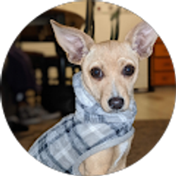 Profile photo of Morenita