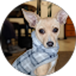 Profile photo of Morenita