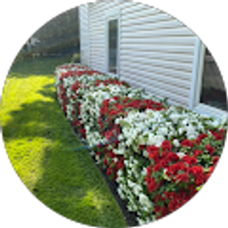 Profile photo of XxDominicX_