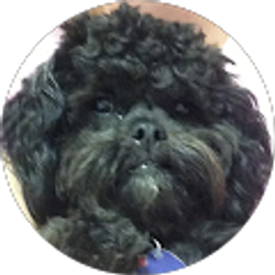 Profile photo of Margaret Muller