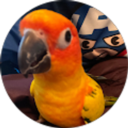 Profile photo of Samantha Wersich