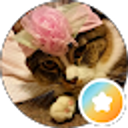 Profile photo of Patricia Arispe