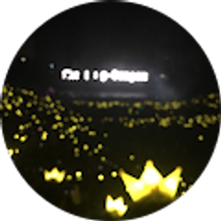 Profile photo of Ailin Yu