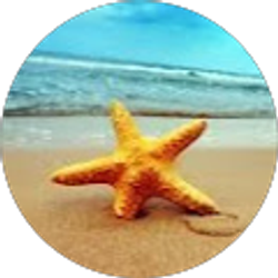 Profile photo of Shin Liu