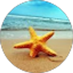 Profile photo of Shin Liu