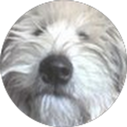 Profile photo of Bonnie Beyer