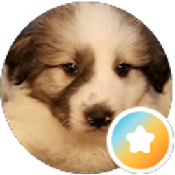 Profile photo of Grateful Steward