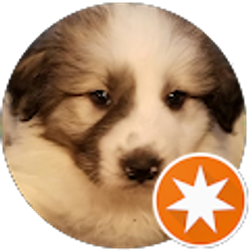 Profile photo of Grateful Steward