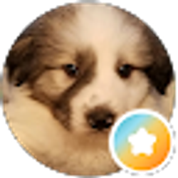 Profile photo of Grateful Steward