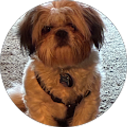 Profile photo of Darryl Einspahr