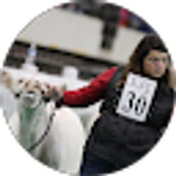 Profile photo of Kaitlin N. Smith