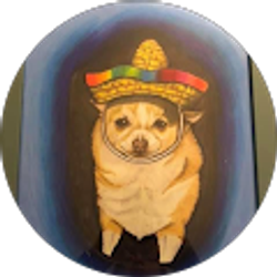 Profile photo of Tracy Steed