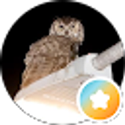 Profile photo of Tina U