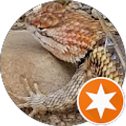 Profile photo of Rick H