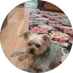 Profile photo of Macy Gatts