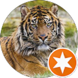 Profile photo of Mary A