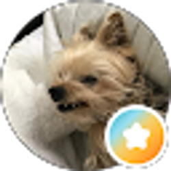Profile photo of Lisa