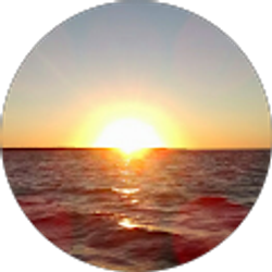 Profile photo of Shay Robert