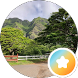 Profile photo of Wil Hen