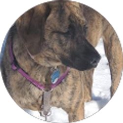 Profile photo of Jes Suski (Jes)
