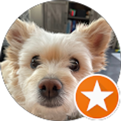 Profile photo of Jennifer Davidek