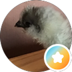 Profile photo of Thecrazy Chickenladysgarden