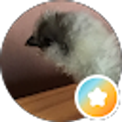 Profile photo of Thecrazy Chickenladysgarden