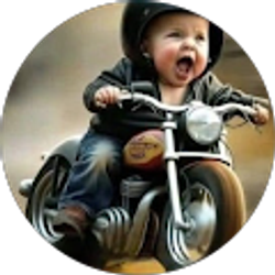 Profile photo of Bob Van Haute