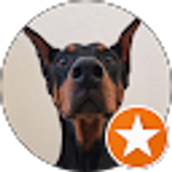 Profile photo of MJ B.