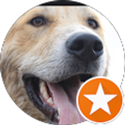 Profile photo of Justin Steiner