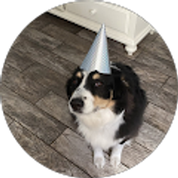 Profile photo of Olivia Lacayo