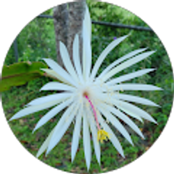 Profile photo of Wanda Selby