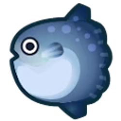 Profile photo of yj_molamola