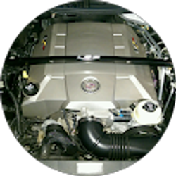 Profile photo of BSfunk44