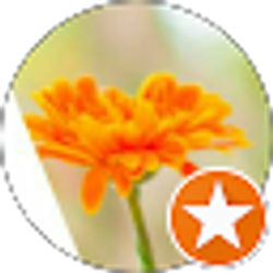 Profile photo of Cristy