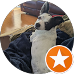 Profile photo of Melissa Bolton