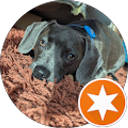 Profile photo of Bo Bandi