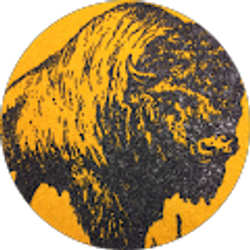 Profile photo of Nick Losi