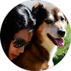 Profile photo of Iva Dario