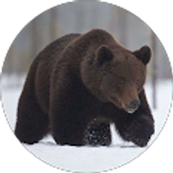 Profile photo of DJ Johnston