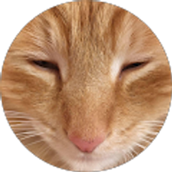 Profile photo of Anna Wright