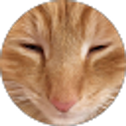 Profile photo of Anna Wright