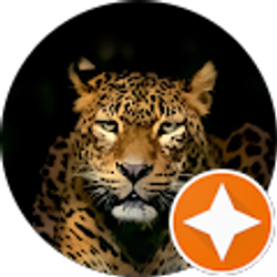 Profile photo of Adham Shalabi