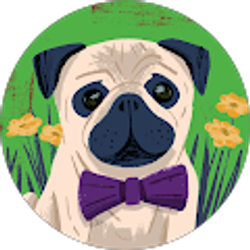 Profile photo of Nancy Sanborn