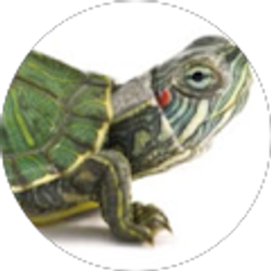 Profile photo of Alinda Stewart