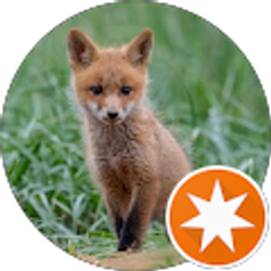 Profile photo of Robert Pence